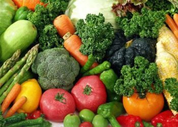 "الصناعات الغذائية" تكشف آليات تعظيم الاستفادة من مخلفات الخضر والفاكهة .. غداً