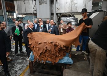 4 توجيهات عاجلة من وزير الصناعة لحل مشكلات مدينة الروبيكي للجلود