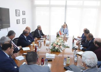 تفاصيل اجتماع وزير قطاع الأعمال مع ممثلي شعبة وسائل النقل باتحاد الصناعات لتوطين صناعة السيارات