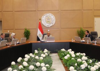 وزير الكهرباء يتابع التغذية الكهربائية لمشروعات الاستصلاح الزراعي التابعة لجهاز مستقبل مصر