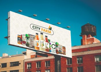 سيتى فارم تكشف عن خطتها التوسعية لزيادة صادراتها الغذائية لسوقي جنوب افريقيا والسنغال