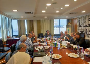 غرفة صناعة الجلود تطالب «الاستثمار» بإنشاء مجلس تصديري للأحذية والمصنوعات الجلدية