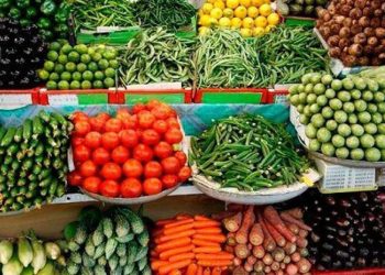 4.8 مليون طن صادرات زراعية مصرية منذ بداية 2025