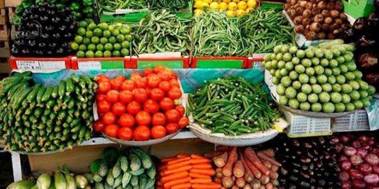 4.8 مليون طن صادرات زراعية مصرية منذ بداية 2025