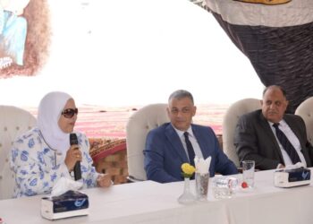 محافظ الإسماعلية ومؤسسة العربي يسلمان 40 جهاز كهربائياً لـ 10 عرائس