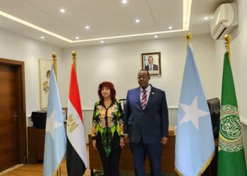  السفير الصومالي : قمة المستثمرات العرب  فرصة لخلق الشراكات بين رجال الأعمال المصريين والعرب و الصوماليين