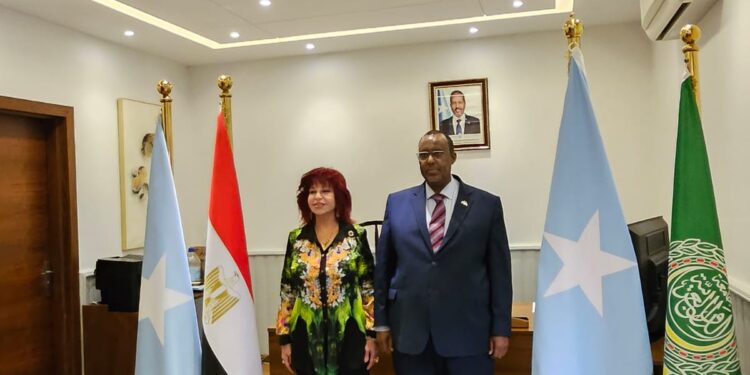 السفير الصومالي : قمة المستثمرات العرب فرصة لخلق الشراكات بين رجال الأعمال المصريين والعرب و الصوماليين