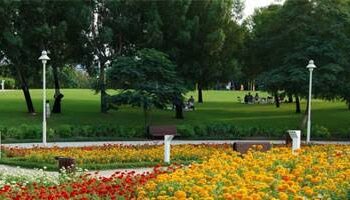 الزراعة تكشف حقيقة قطع الأشجار النادرة والمباني التراثية بحديقة الأورمان