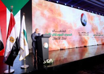 كامل الوزير : أهمية كبيرة لتعميق الاستثمار الصناعي بين مصر والسودان