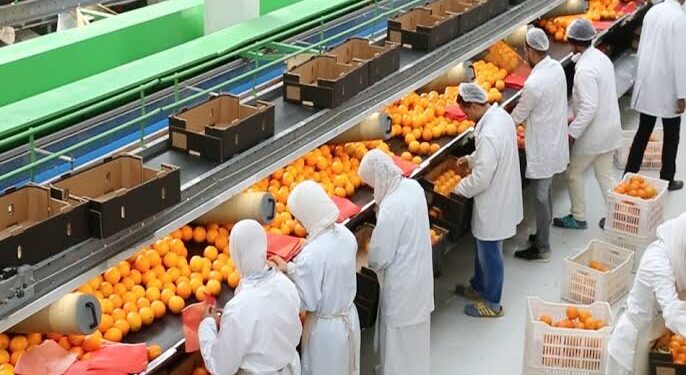 تصديري الحاصلات الزراعية يحصل على شهادة المواصفة القياسية الدولية لنظام إدارة المؤسسات التعليمية