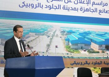 في مذكرة لوزير الصناعة .. غرفة صناعة الجلود تطالب بتخصيص وحدات صناعية لأعضائها بمدينة الروبيكي