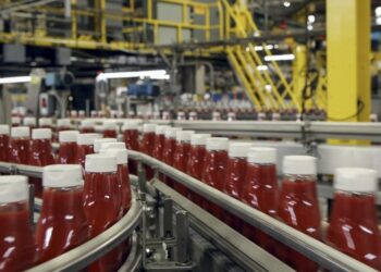 باستثمارات 850 مليون جنيه .. "بلقان" تنفذ مشروعاً لإنتاج مركزات الطماطم والخضروات في 6 أكتوبر