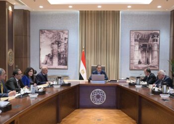 أكبر شركة صينية لتصنيع إطارات السيارات تستعد لتنفيذ مشروعين جديدين في مصر