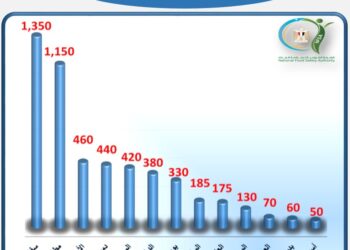 سلامة الغذاء: 200 ألف طن صادرات غذائية خلال أسبوع .. والسودان والسعودية أكبر الدول المستقبلة
