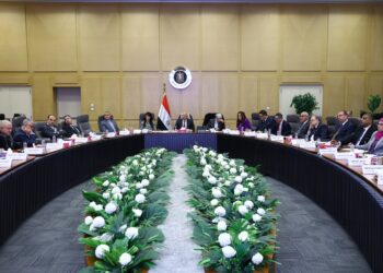 ماذا قال كامل الوزير عن أزمة تذبذب الكهرباء بمصانع القليوبية والحل المقترح لها؟