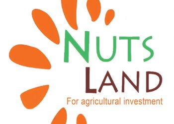 تسليم "نتس لاند" الرخصة الذهبية لإنتاج وتصنيع المكسرات باستثمارات 1.3 مليار جنيه