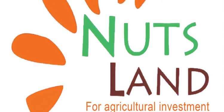 تسليم "نتس لاند" الرخصة الذهبية لإنتاج وتصنيع المكسرات باستثمارات 1.3 مليار جنيه