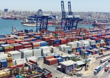 النقل الدولي واللوجستيات: تحفيز الشركات المصرية والكرواتية على إقامة مشروعات صناعية مشتركة ضرورة ملحة