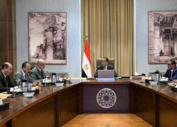 الحكومة تكشف تفاصيل تطوير شركات قطاع الأعمال العام .. أبرزها في الغزل والنسيج والصناعات الكيماوية 