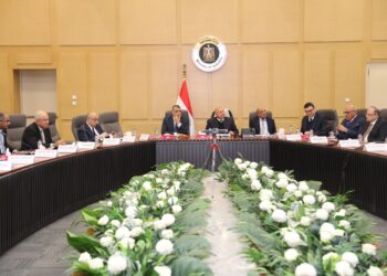 كامل الوزير : التنسيق مع البترول لسرعة توصيل الغاز الطبيعي على رأس المناطق الصناعية في بلطيم ومطوبس