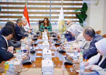 جمعية رجال أعمال إسكندرية تبحث مع وزيرة التنمية المحلية التحديات التي تواجه المستثمرين