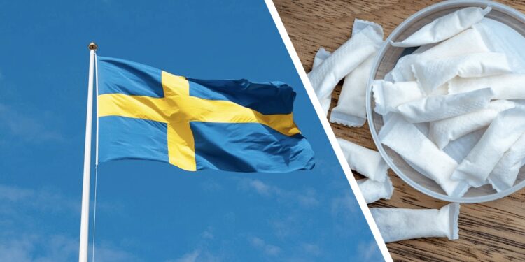 دراسة سويدية تكشف دور «أكياس النيكوتين» في تقليل التدخين التقليدي