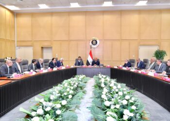 وزيرا الصناعة والزراعة يبحثان مع ممثلي الغرف التجارية وتصدير الحاصلات سبل الاستفادة من مميزات خط الرورو