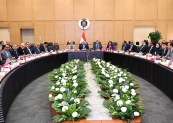 كامل الوزير : ضرورة ضخ استثمارات جديدة لاستغلال الباجاس في تصنيع الورق والأخشاب وألواح الفايبر بورد