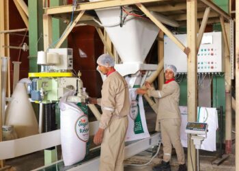 Cairo 3A First to Export Soy Pro to GCC MarketsHigh-Energy Soybean Meal meets quality specs and standards