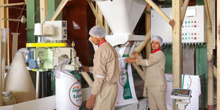 Cairo 3A First to Export Soy Pro to GCC MarketsHigh-Energy Soybean Meal meets quality specs and standards
