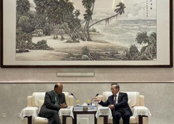 «خالد حنفي»: شراكة استراتيجية عربية – صينية من اجل مواجهة تحديات الحرب التجارية العالمية