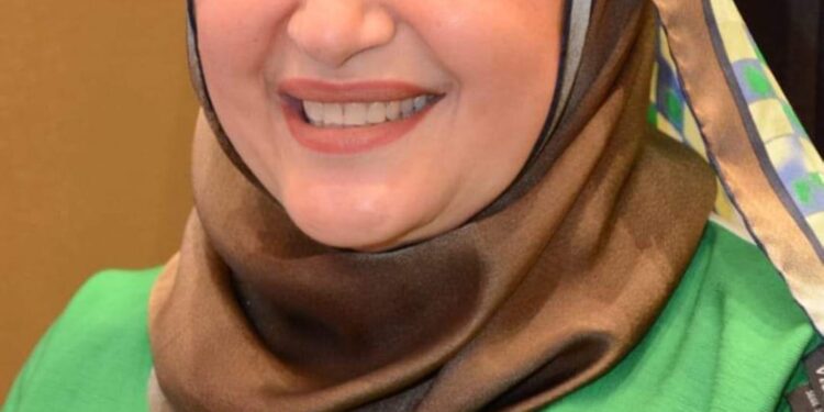 عبير عصام: توجيهات الرئيس السيسي السبعة تدعم بيئة الاستثمار وتمنح القطاع الخاص دورًا محوريًا