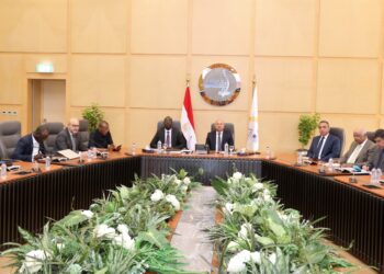 كامل الوزير يبحث مع وزير البنية التحتية التشادي آخر مستجدات مشروع الطريق البري بين مصر وتشاد