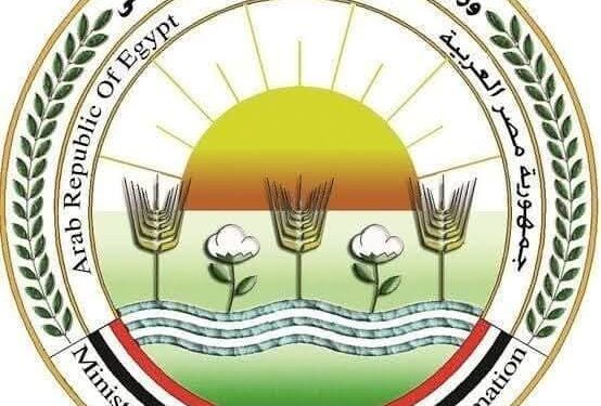 الزراعة: ذبح أكثر من 20 ألف أضحية بالمجان في المجازر الحكومية خلال أول يومين من عيد الأضحى