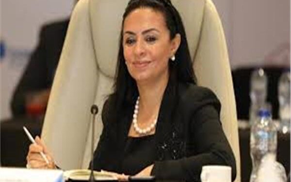 عاجل.. وزيرة التضامن: 176 سيارة إسعاف لقطاع غزة وننسق لإدخال 4 مستشفيات ميدانية