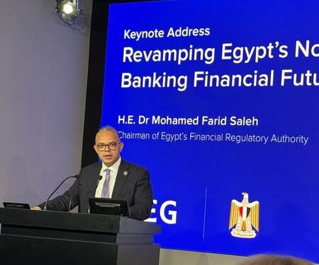 "يوم مصر" في بورصة لندن.. رئيس الرقابة المالية يعرض فرص الاستثمار ويؤكد: نعمل على بيئة أعمال جاذبة وشفافة