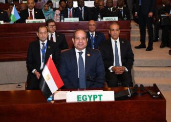 الوليلي: مشاركة الرئيس السيسي في قمة الاتحاد الأفريقي تجسد ريادة مصر في مسيرة التنمية بالقارة