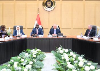 مصر وسيراليون تبحثان تعزيز التعاون في قطاعات النقل والبنية التحتية