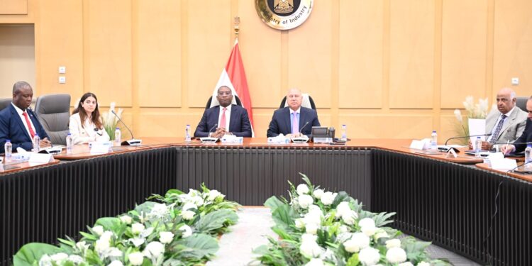 كامل الوزير: شركات مصرية مستعدة لتنفيذ مشروعات عملاقة في الكونغو