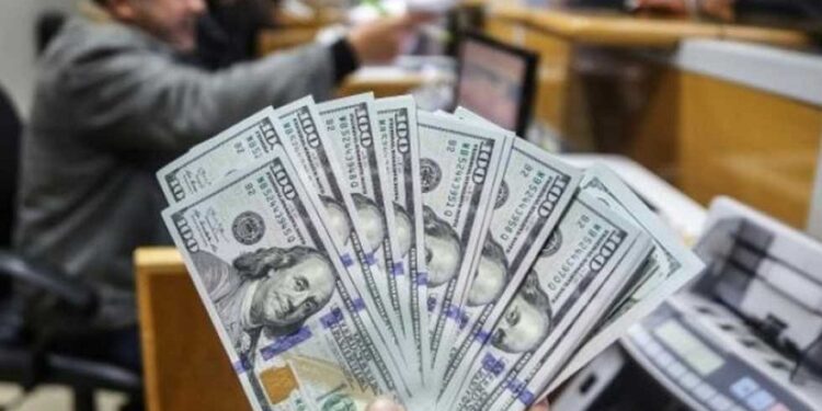 احتياطي النقد الأجنبي لمصر يواصل الصعود ويسجل مستويات تاريخية