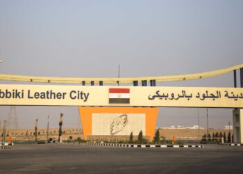 خطة لإقامة منطقة صناعية جديدة للدباغة بالعلمين أو برج العرب والتوسع بالروبيكي