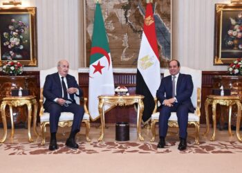 الرئيس الجزائري يُشيد بدور مصر بقيادة الرئيس السيسي في استقرار المنطقة