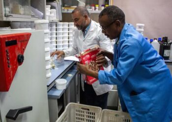 إنجاز أول تاريخي لقطاع الزراعة.. "متبقيات المبيدات" معمل في مصر يجمع 6 نماذج آيزو