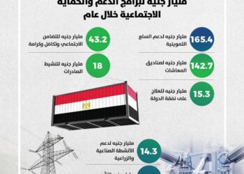 وزير المالية: ٦٤٢ مليار جنيه للدعم والحماية الاجتماعية.. و٦٠٪ من الاستثمارات للقطاع الخاص