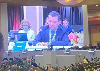 مصر تشارك في اجتماعات مجموعة عمل التجارة والاستثمار بمجموعة العشرين بجنوب أفريقيا