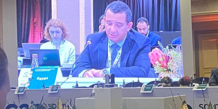 مصر تشارك في اجتماعات مجموعة عمل التجارة والاستثمار بمجموعة العشرين بجنوب أفريقيا