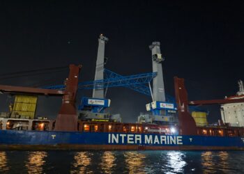 DP World Egypt Welcomes State-of-the-Art Cranes to Strengthen Egypt's Position as a Regional Logistics Hub