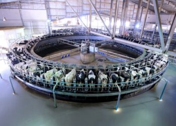 جهينه تطلق مرحلة جديدة من التوسع في مزرعة “إنماء” بتطوير وحدة الحلب بتقنيات أكثر تقدّمًا