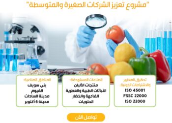 “جي أي زد” ومركز تحديث الصناعة يطلقان برنامجًا لدعم الشركات الصغيرة في الغذائي والزراعي