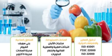 “جي أي زد” ومركز تحديث الصناعة يطلقان برنامجًا لدعم الشركات الصغيرة في الغذائي والزراعي